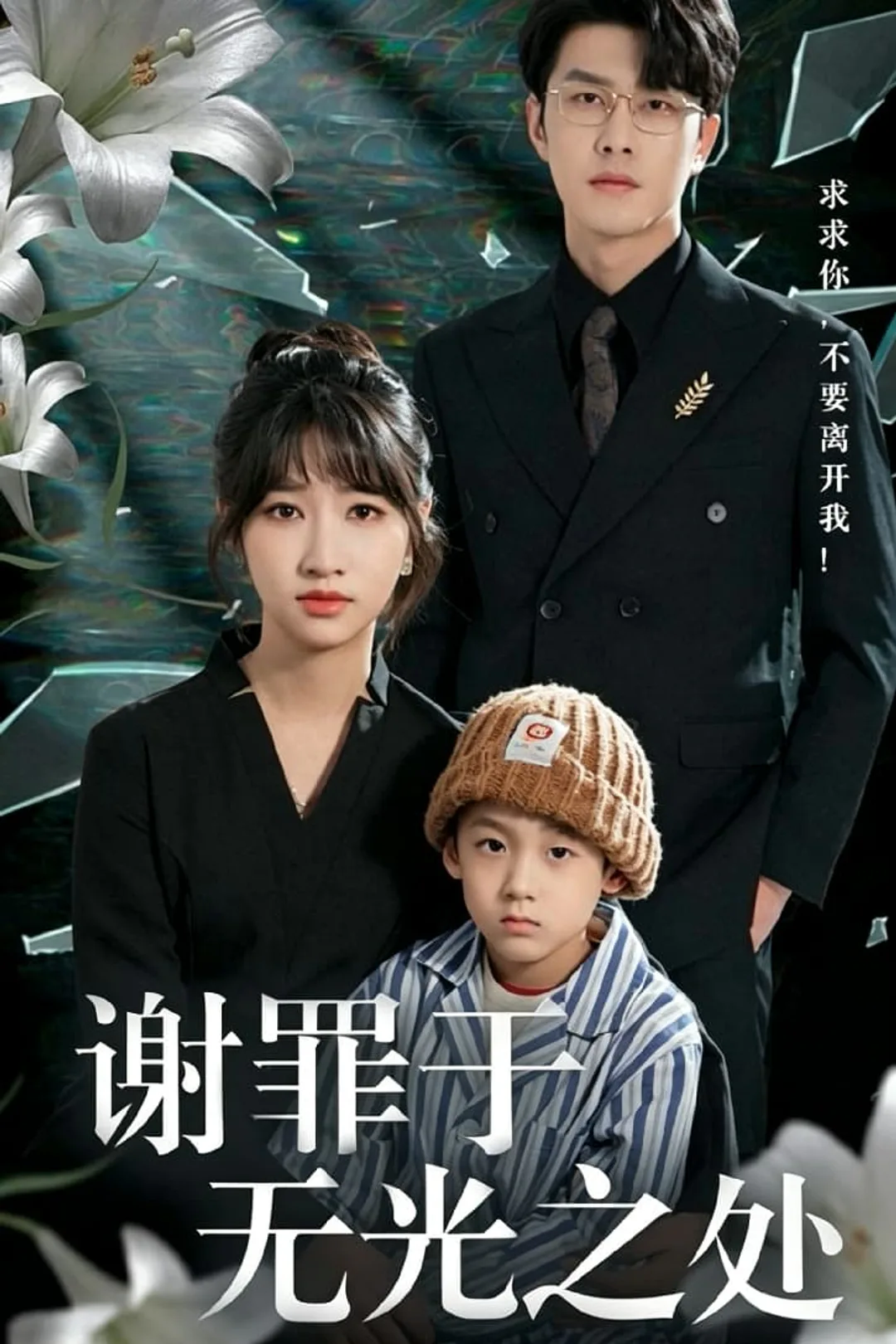 《謝罪於無光之處》海報