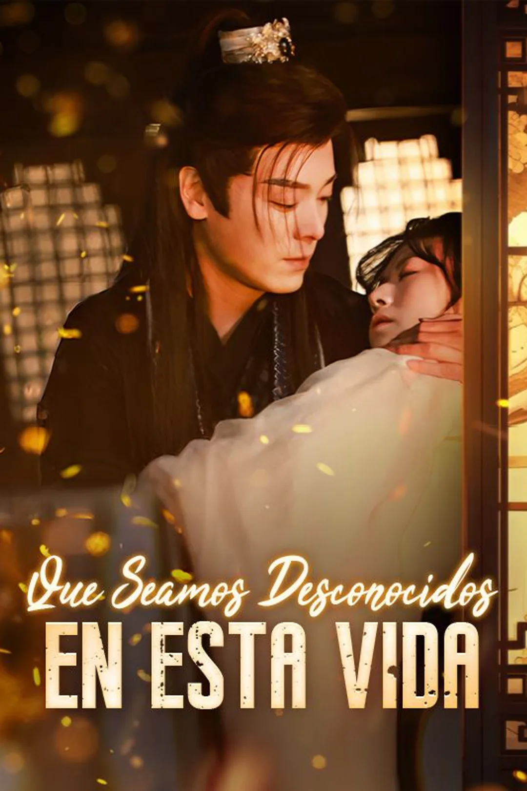 Póster de Que Seamos Desconocidos en Esta Vida