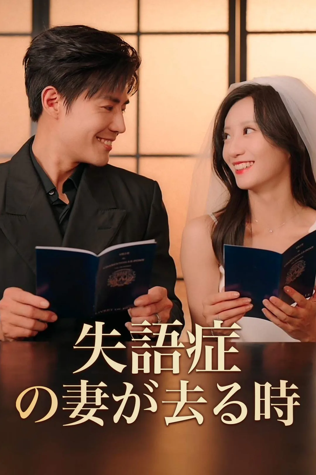 失語症の妻が去る時のポスター