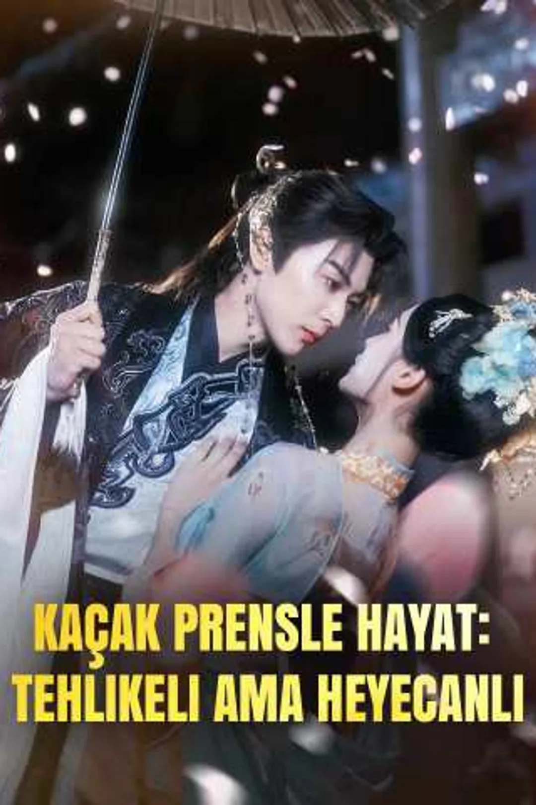 Kaçak Prensle Hayat: Tehlikeli Ama Heyecanlı afişi