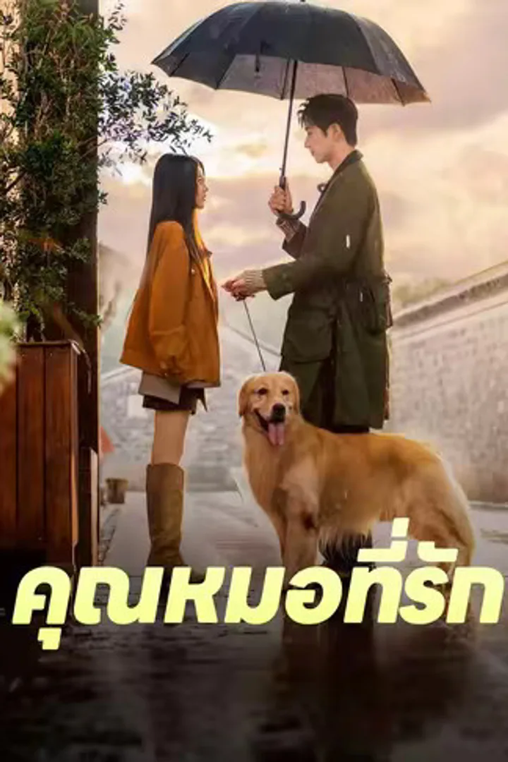 โปสเตอร์ คุณหมอที่รัก