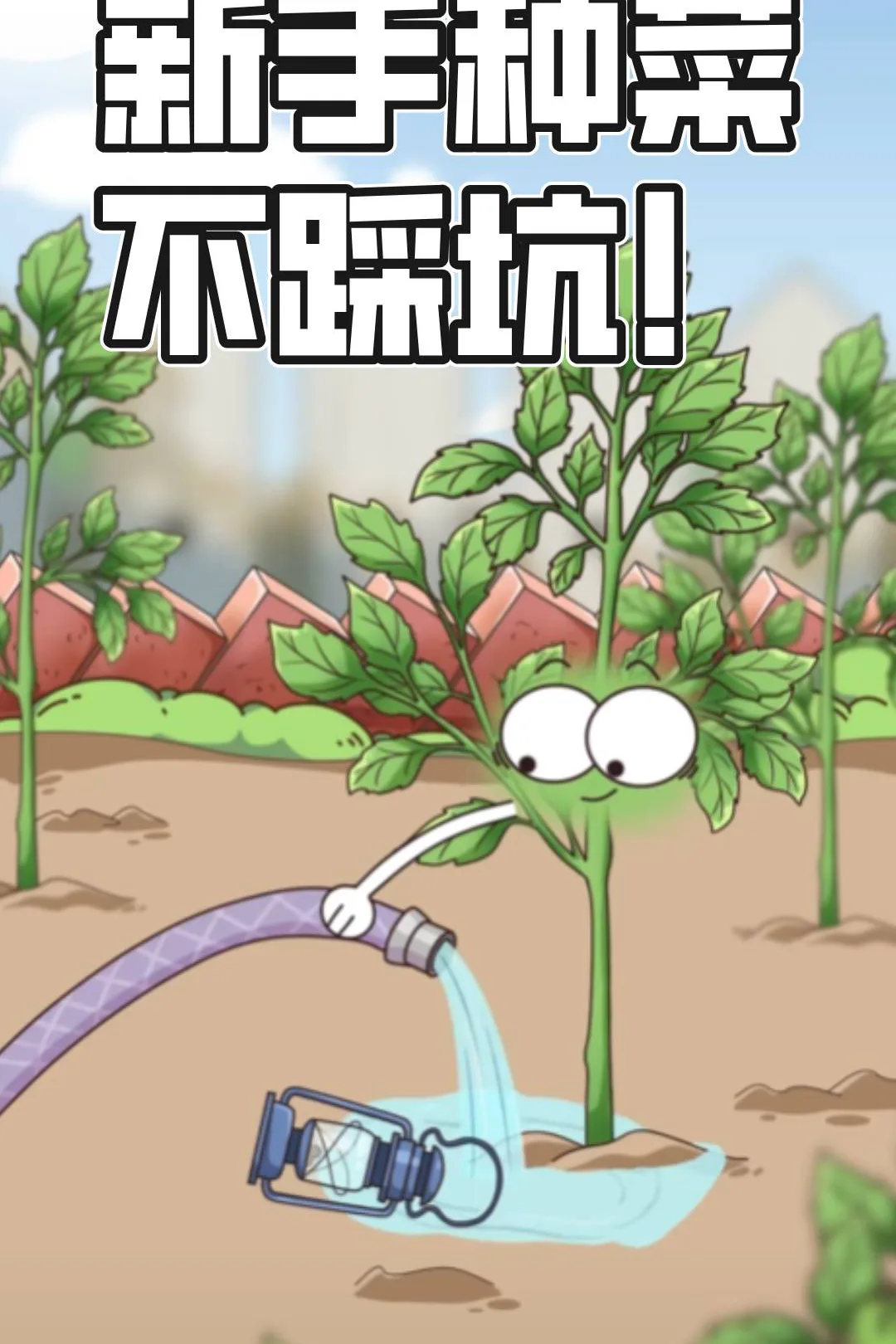 《新手种菜不踩坑！》海报