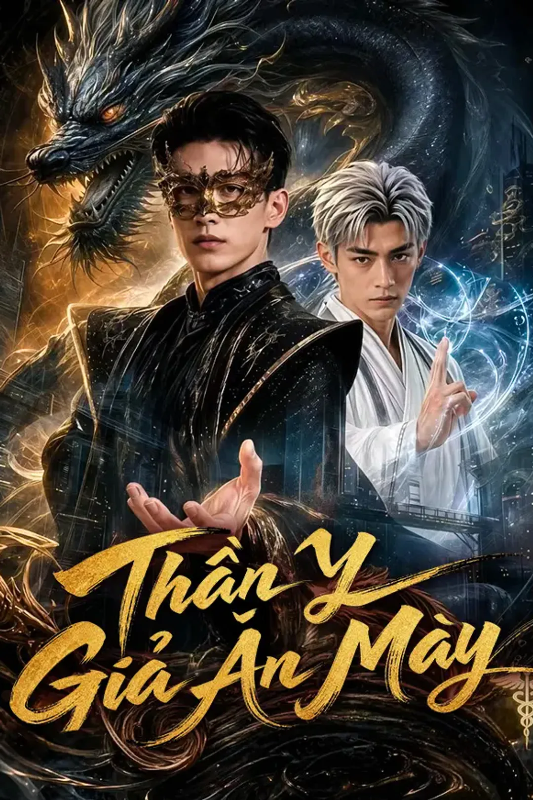 Poster phim Thần Y Giả Ăn Mày