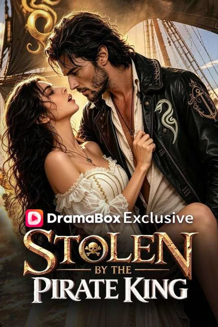 Stolen By The Pirate King poster