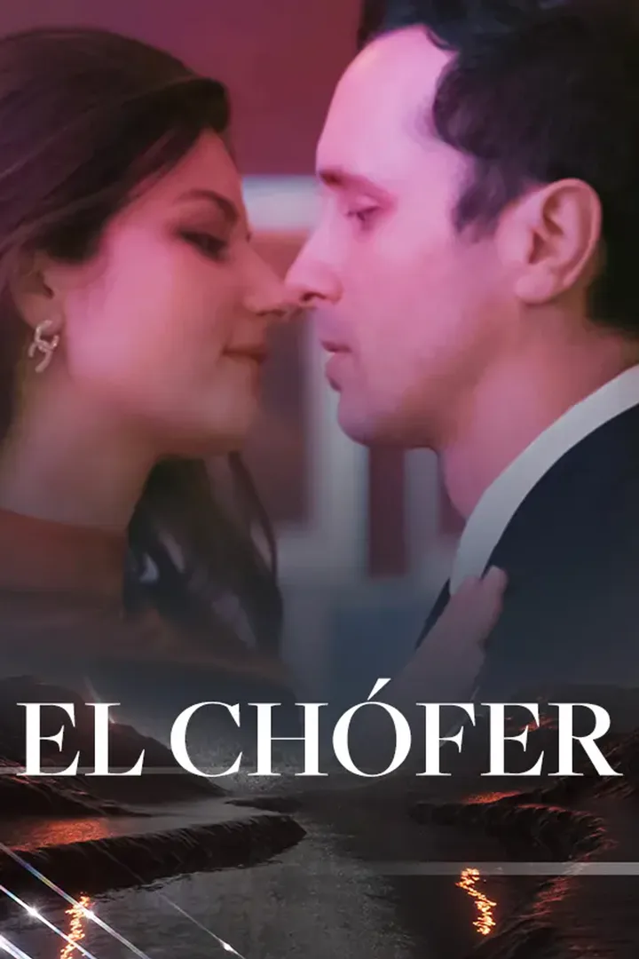 Póster de El chófer
