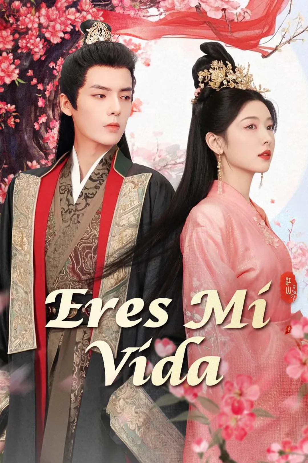 Póster de Eres mi Vida
