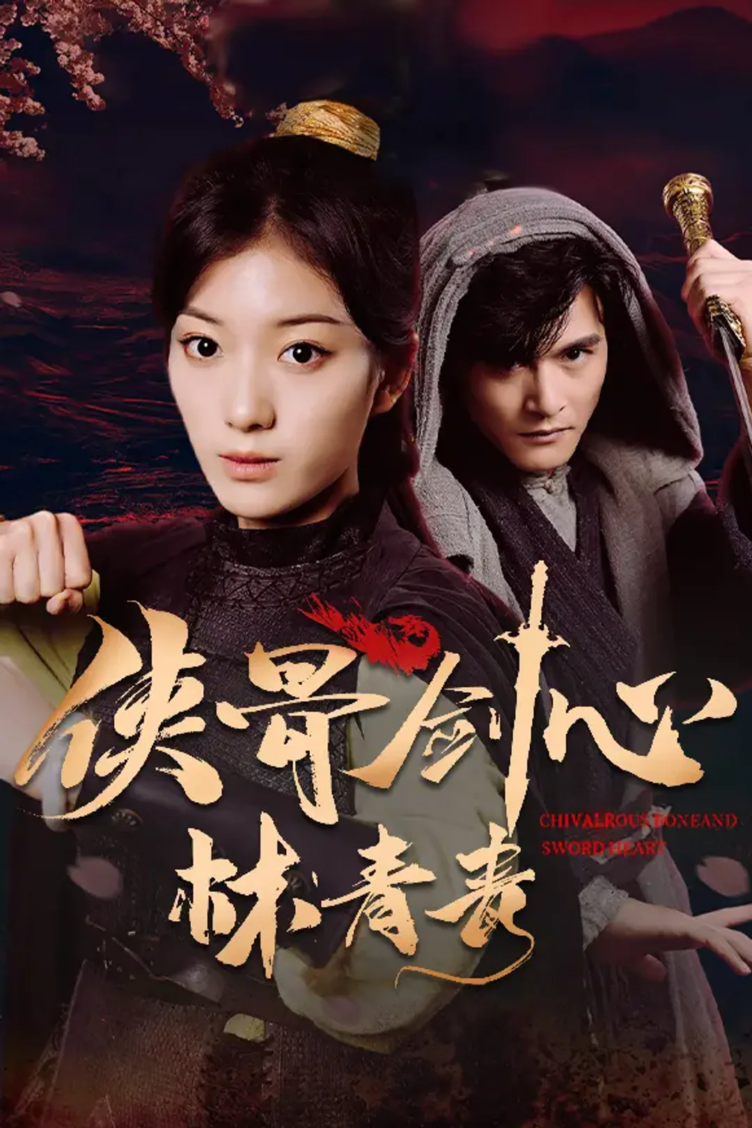 《侠骨剑心林青青》海报