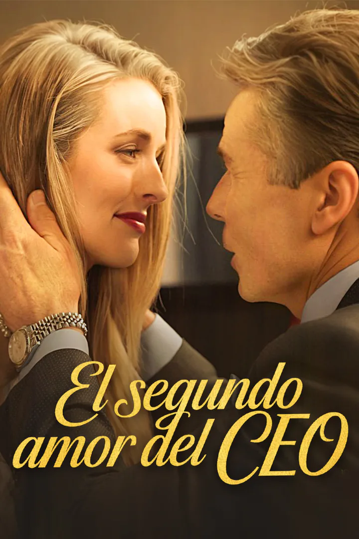 Póster de El segundo amor del CEO
