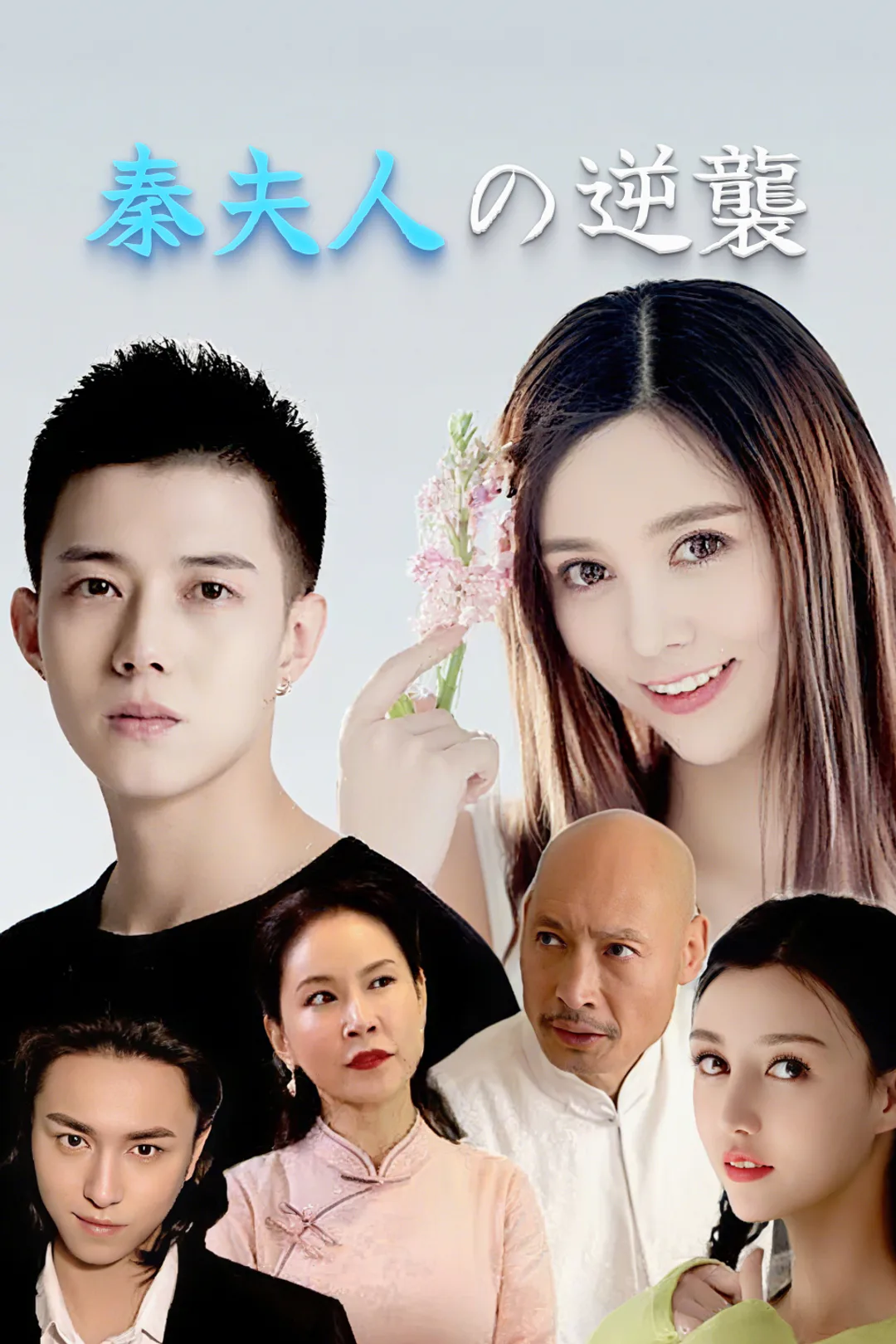 秦夫人の逆襲のポスター