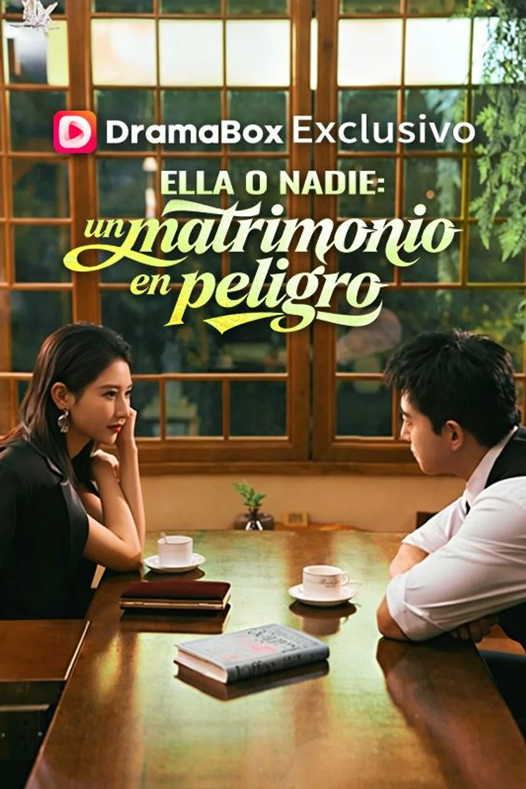 Póster de Ella o nadie: un matrimonio en peligro