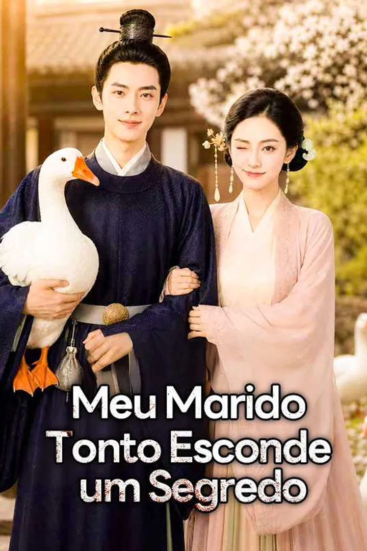 Pôster de Meu Marido Tonto Esconde um Segredo