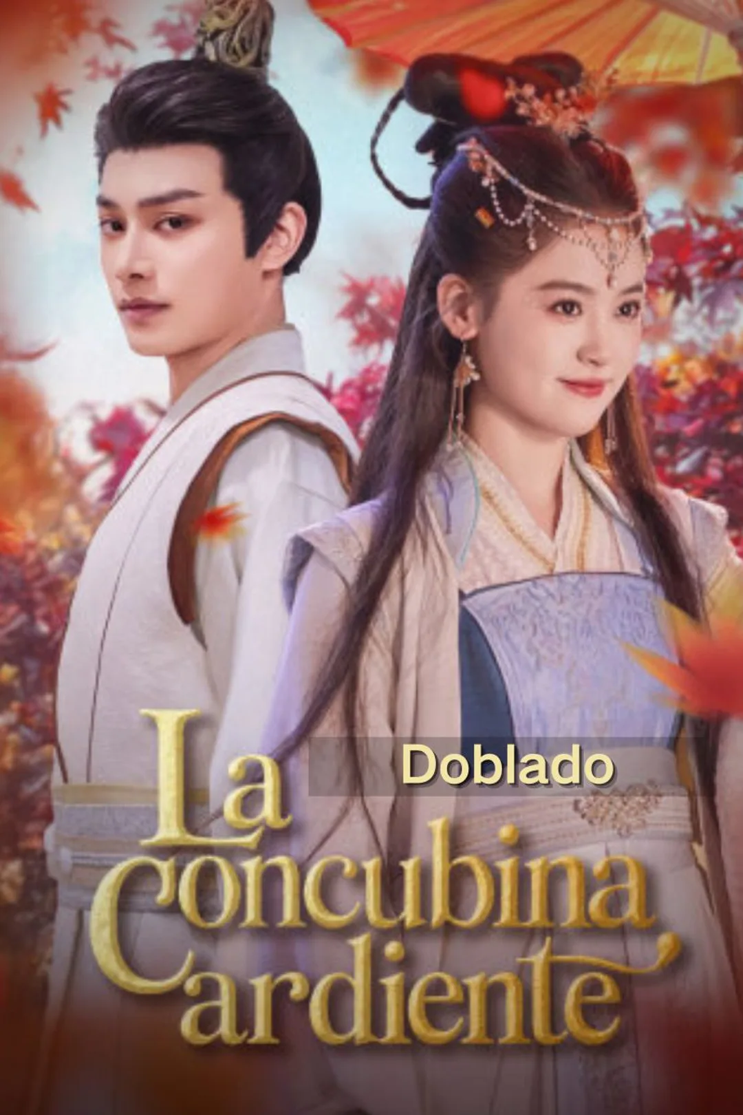 Póster de La concubina ardiente