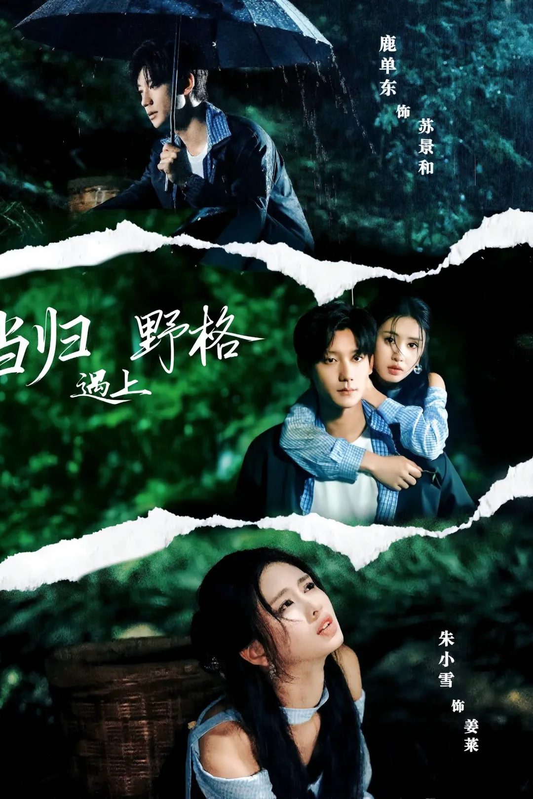 《当归遇上野格》海报