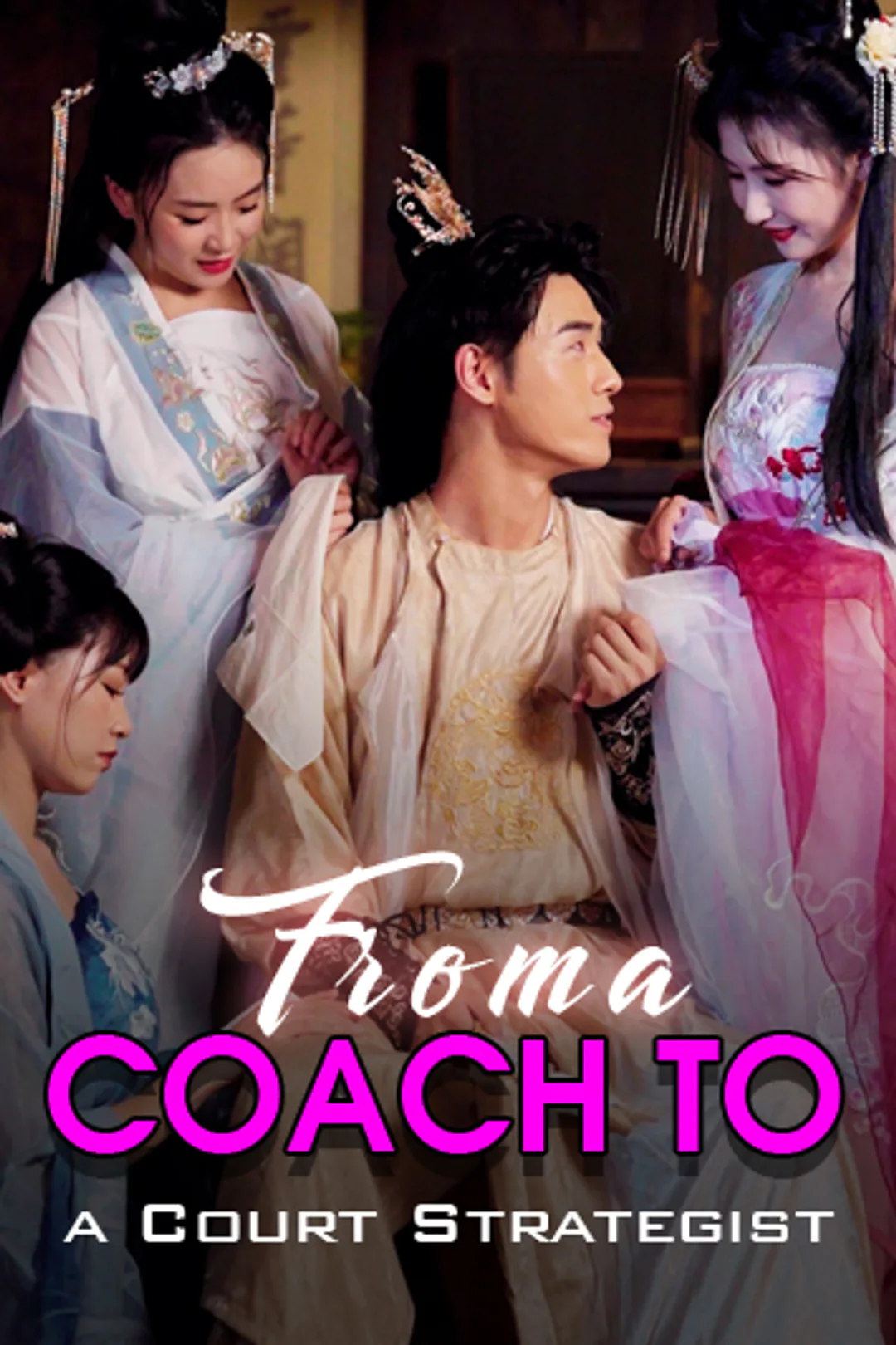 From a Coach to a Court Strategist poster