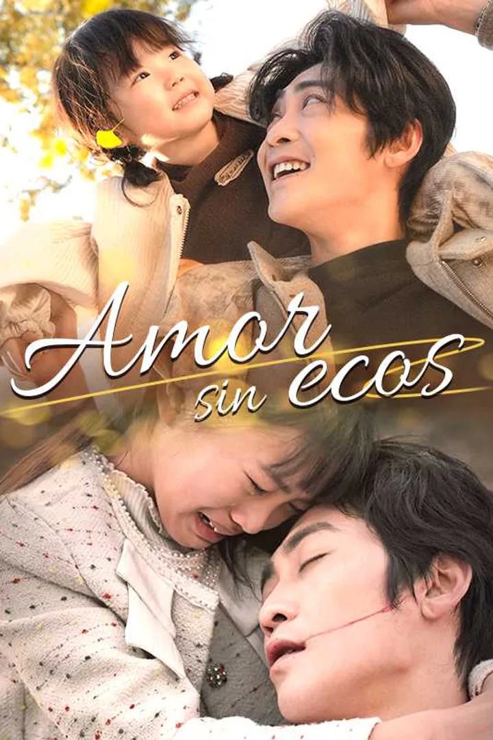 Póster de Amor sin ecos