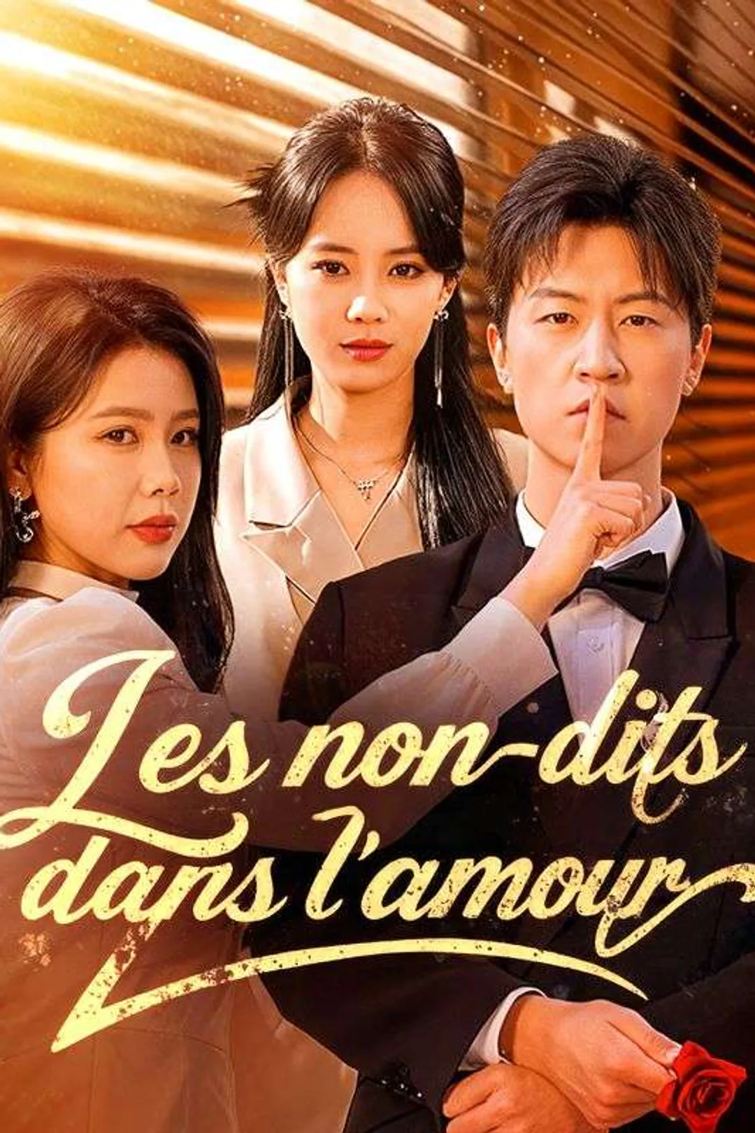 Affiche de Les non-dits dans l'amour