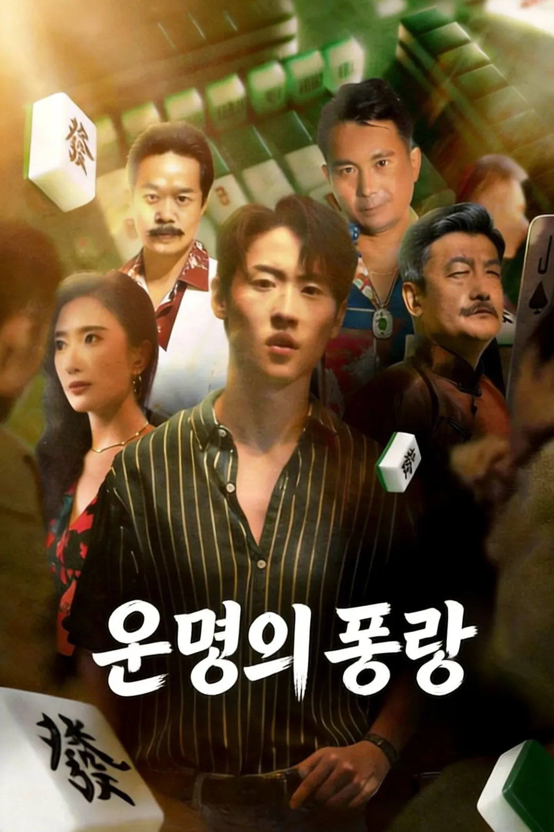 운명의 풍랑（더빙판） 포스터