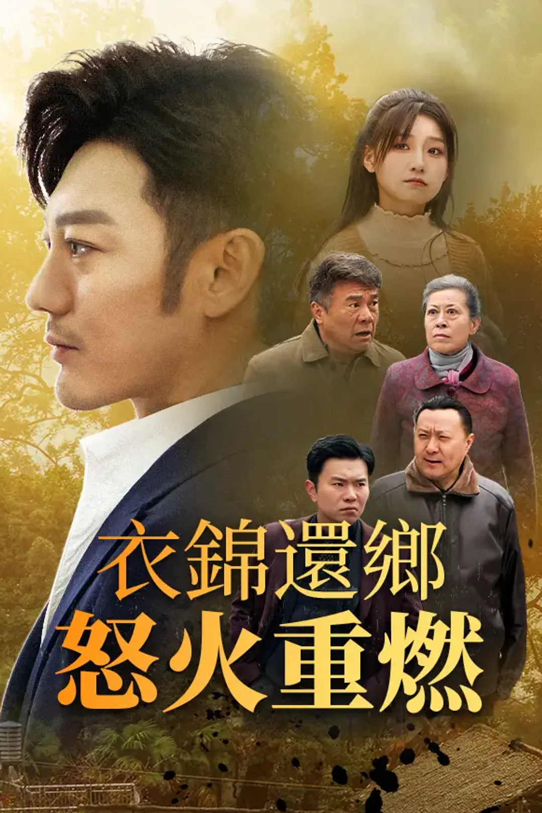 《衣錦還鄉：怒火重燃》海報
