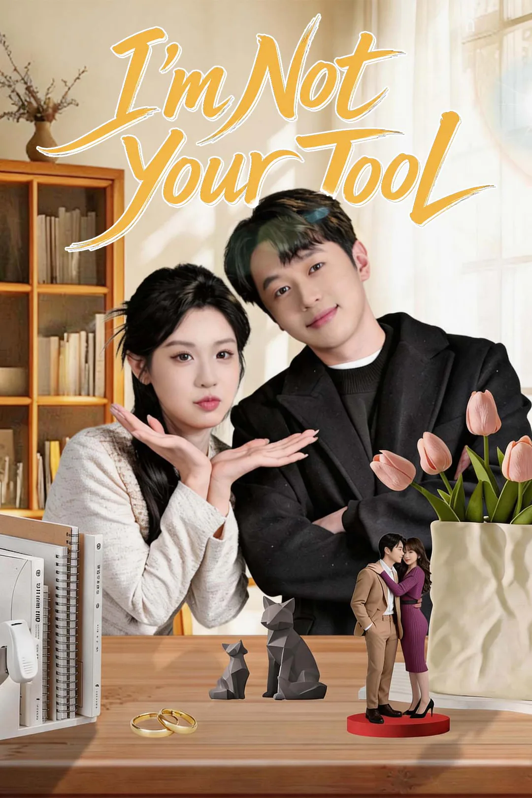 I'm Not Your Tool poster