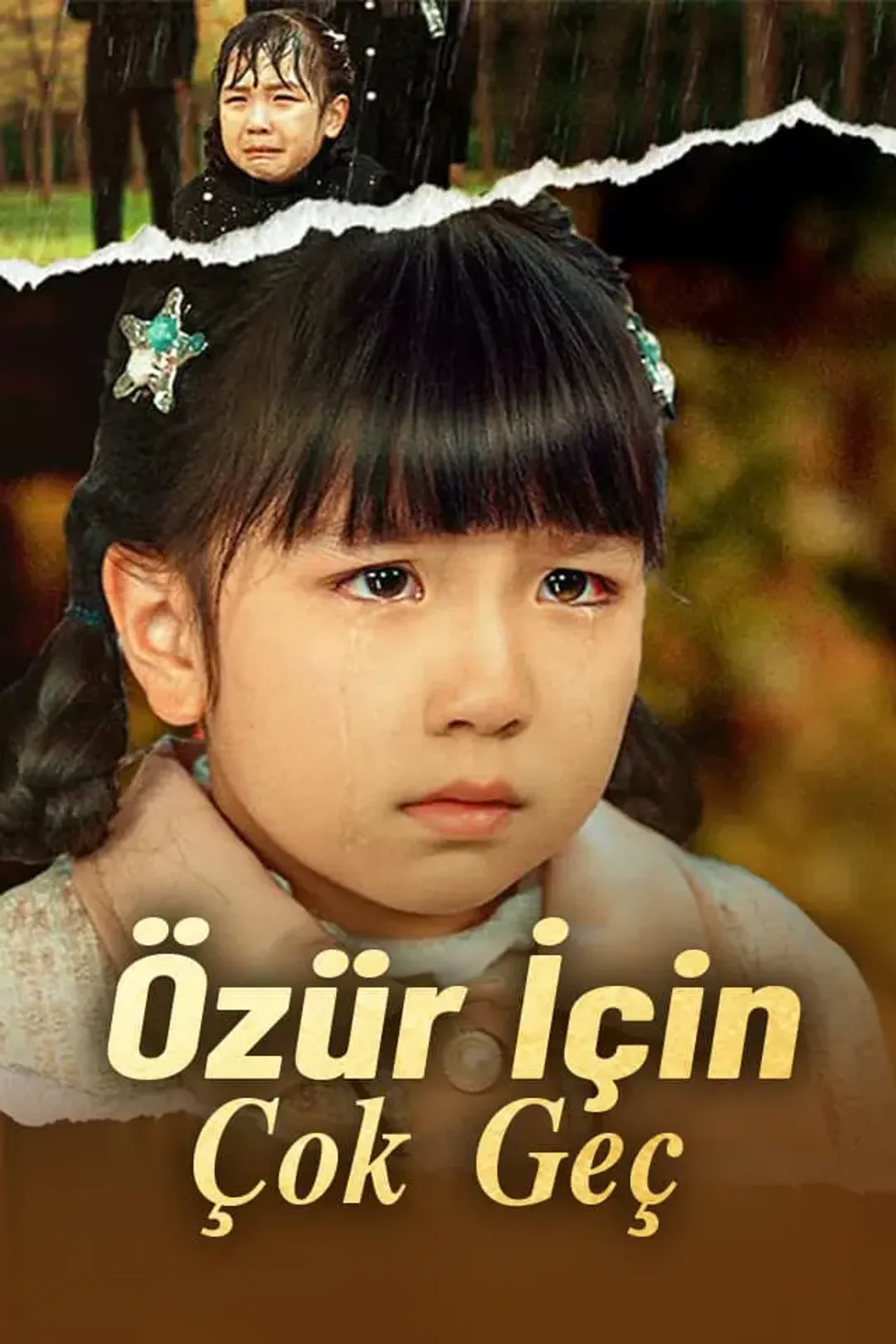 Özür İçin Çok Geç afişi