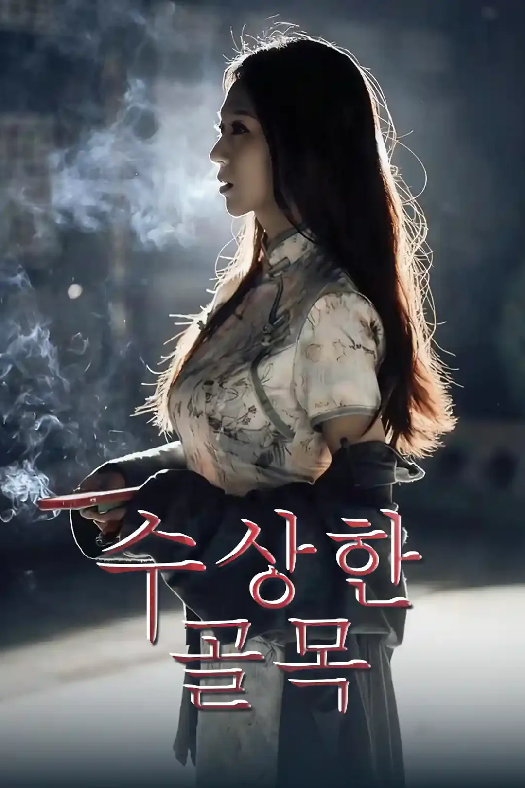 수상한 골목 포스터