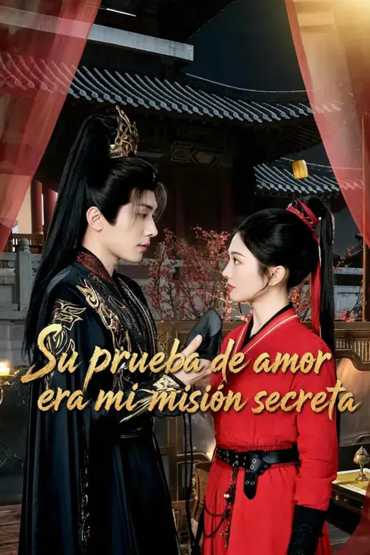 Póster de Su prueba de amor era mi misión secreta