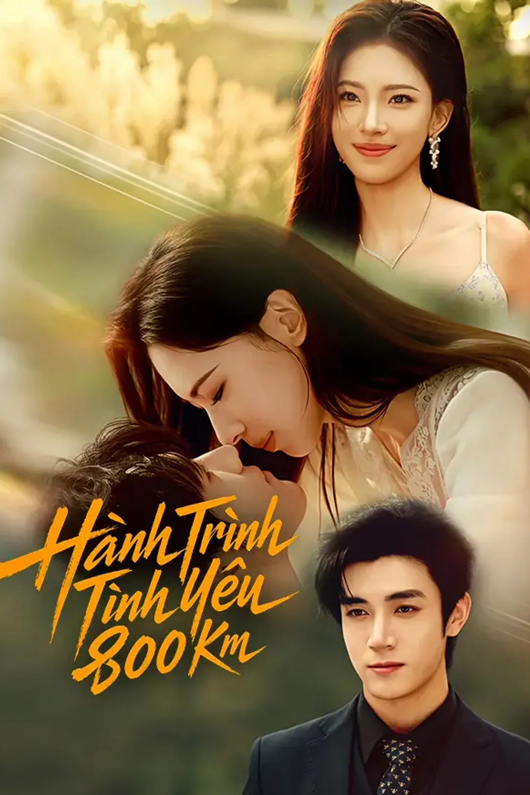 Poster phim Hành Trình Tình Yêu 800 Km