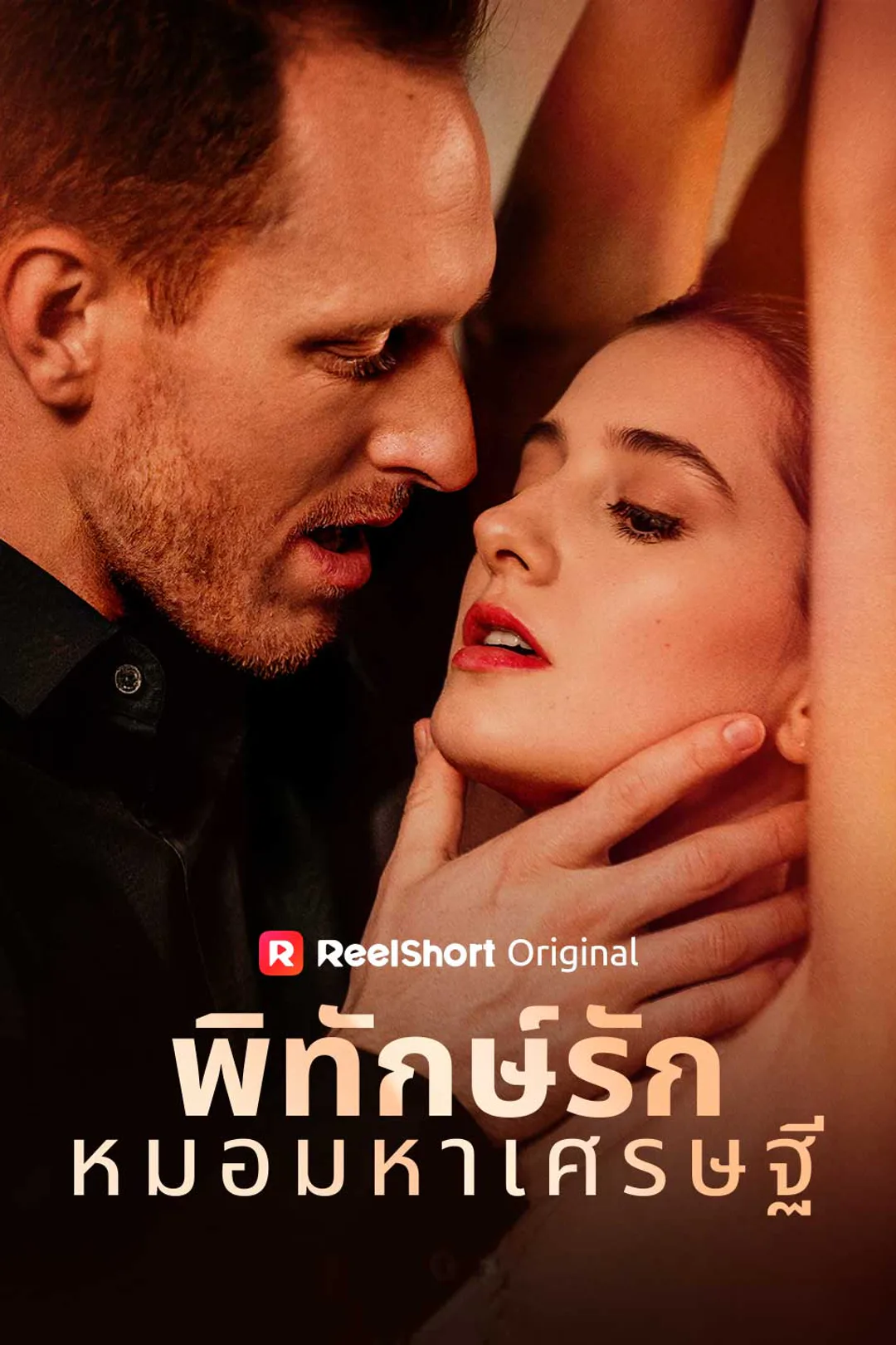 โปสเตอร์ พิทักษ์รักหมอมหาเศรษฐี