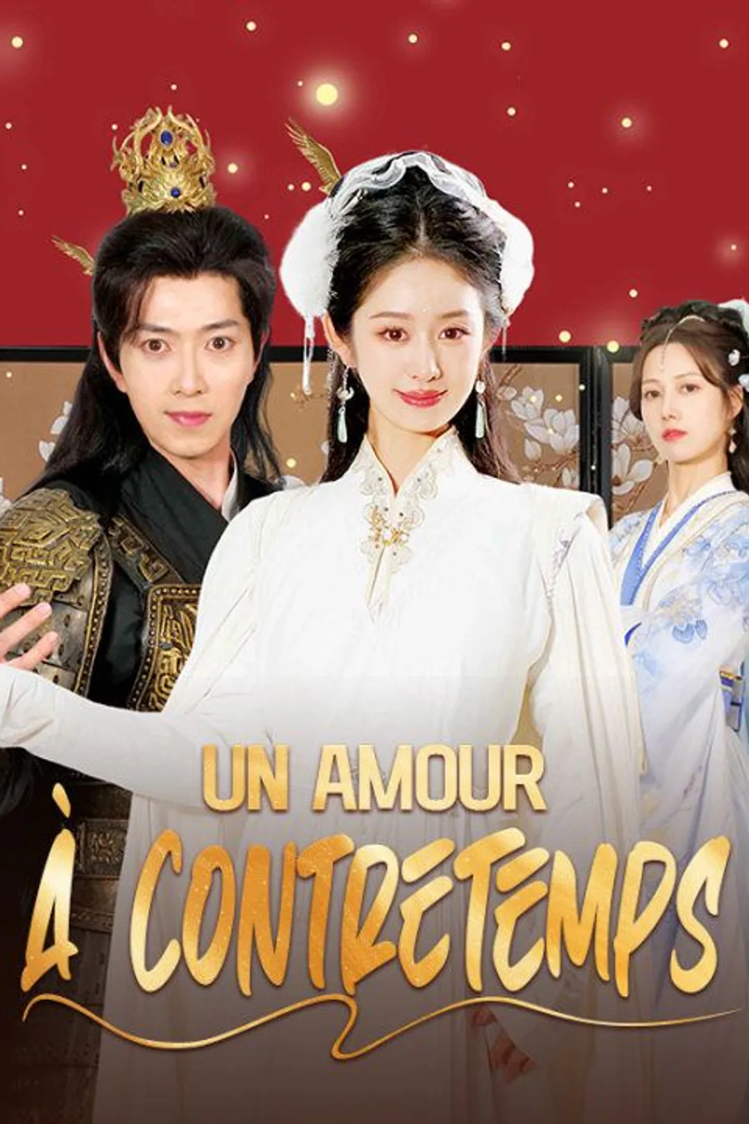 Affiche de Un Amour à Contretemps