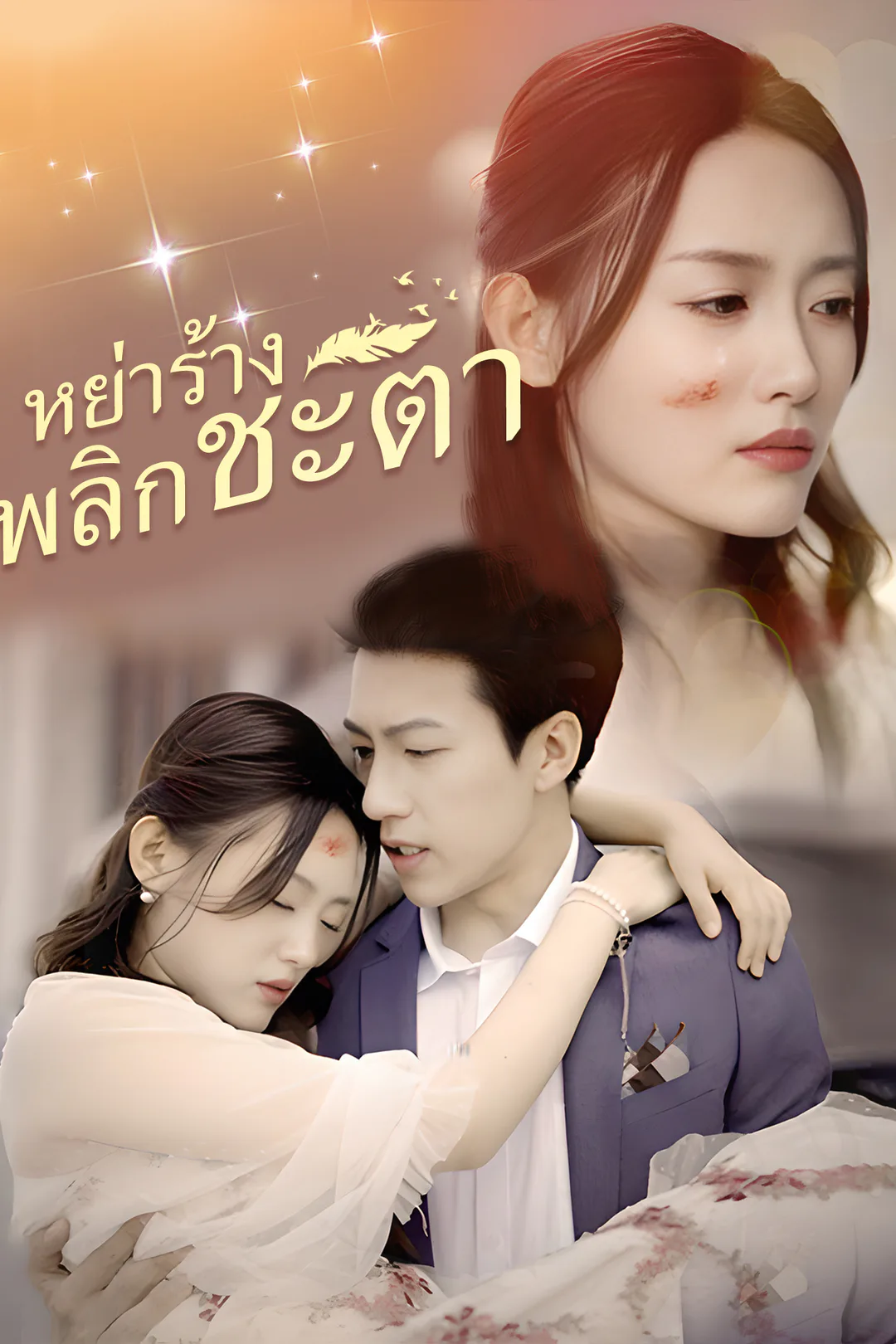 โปสเตอร์ หย่าร้างพลิกชะตา