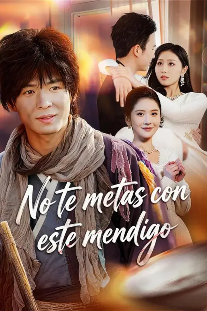 Póster de No te metas con este mendigo