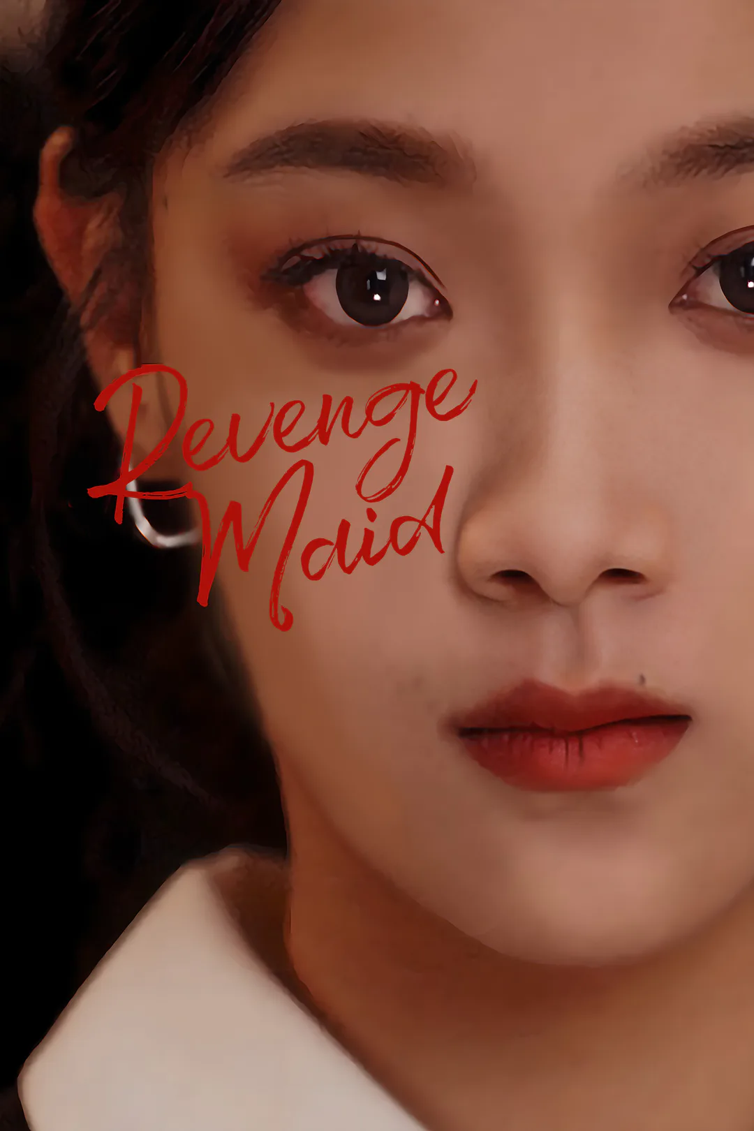 Revenge Maid poster