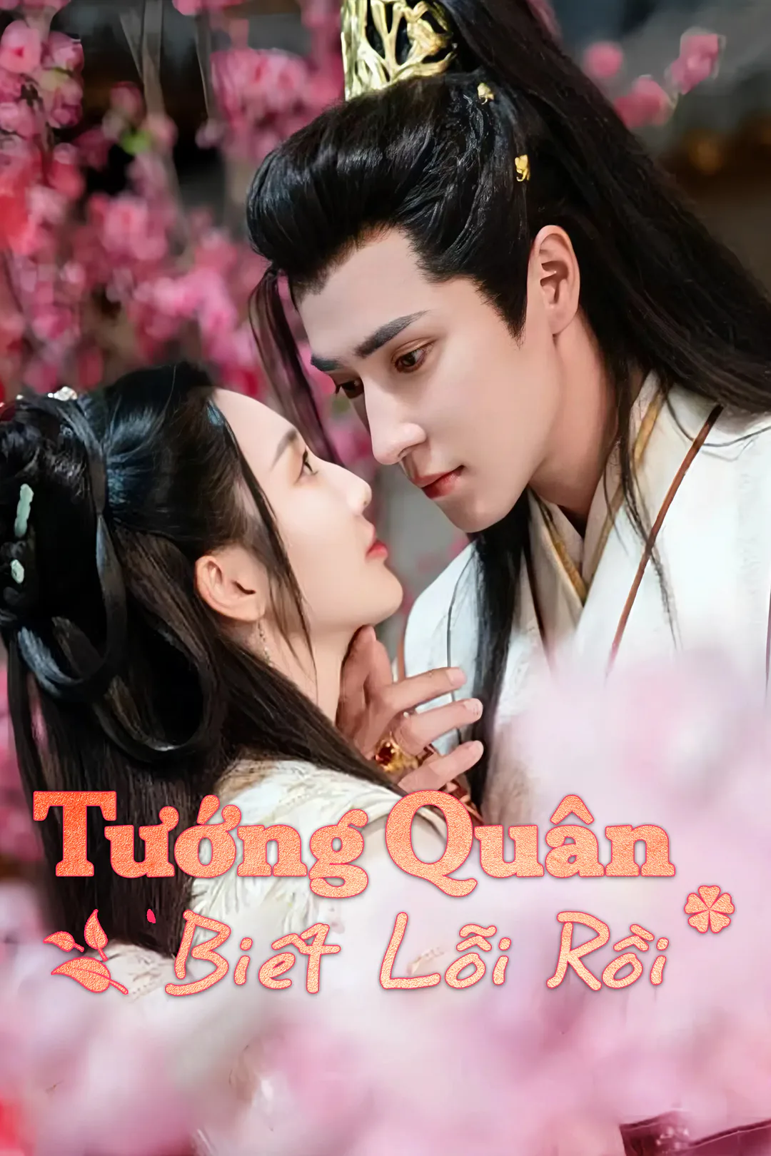 Poster phim Tướng Quân Biết Lỗi Rồi