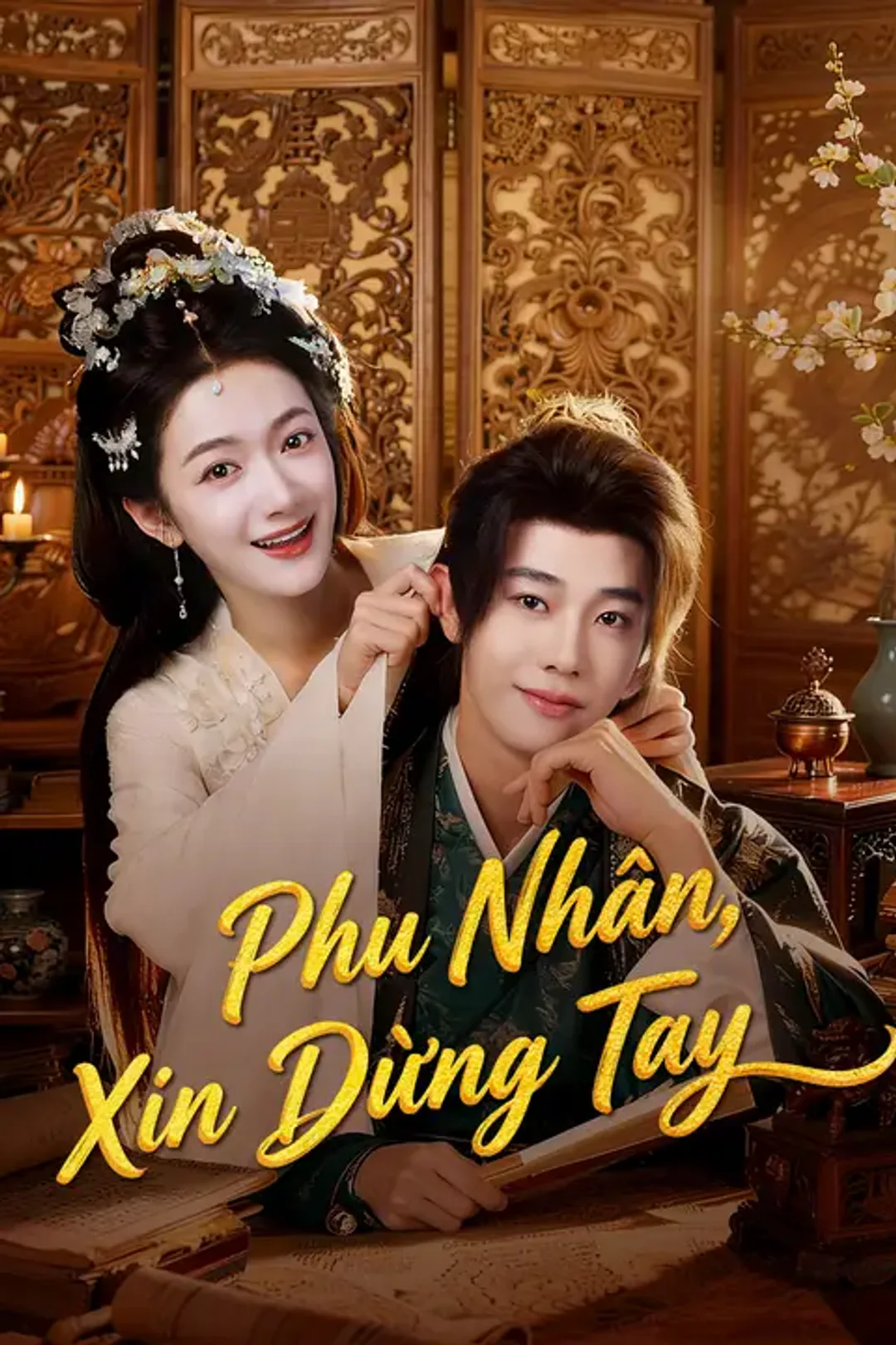Poster phim Phu Nhân, Xin Dừng Tay
