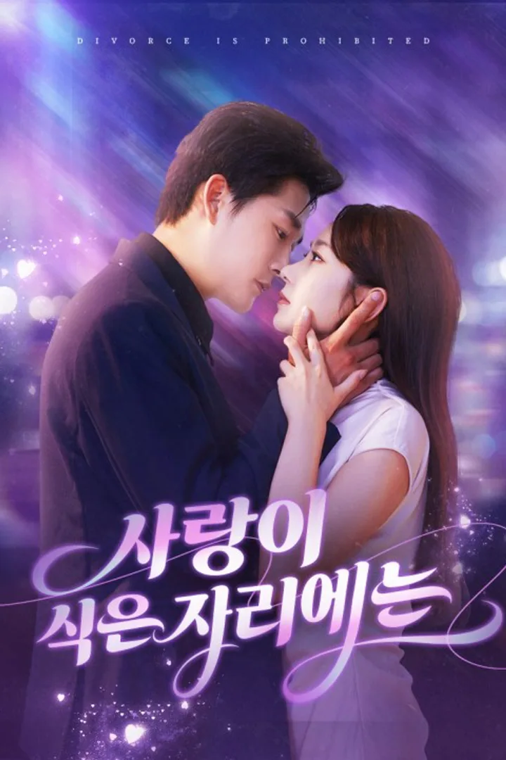 사랑이 식은 자리에는 포스터