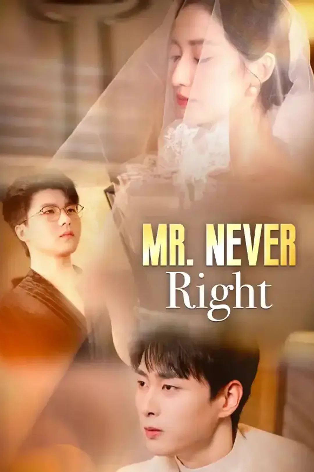 Mr. Never Right poster