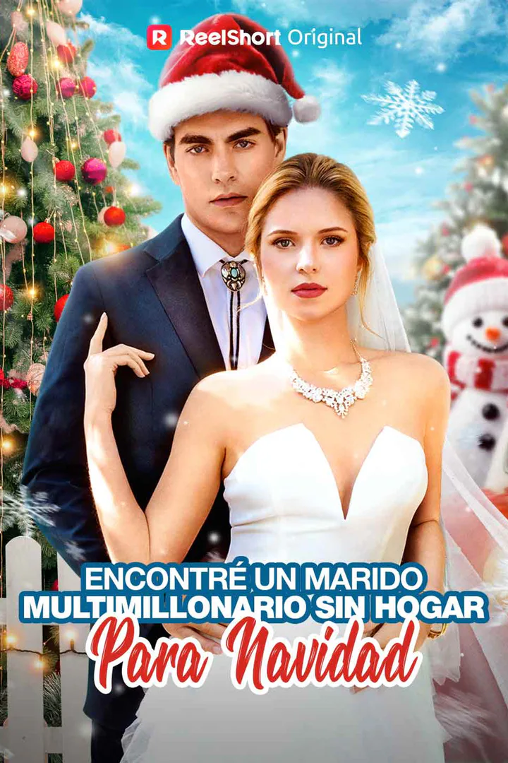 Póster de Encontré un Marido Multimillonario Sin Hogar para Navidad