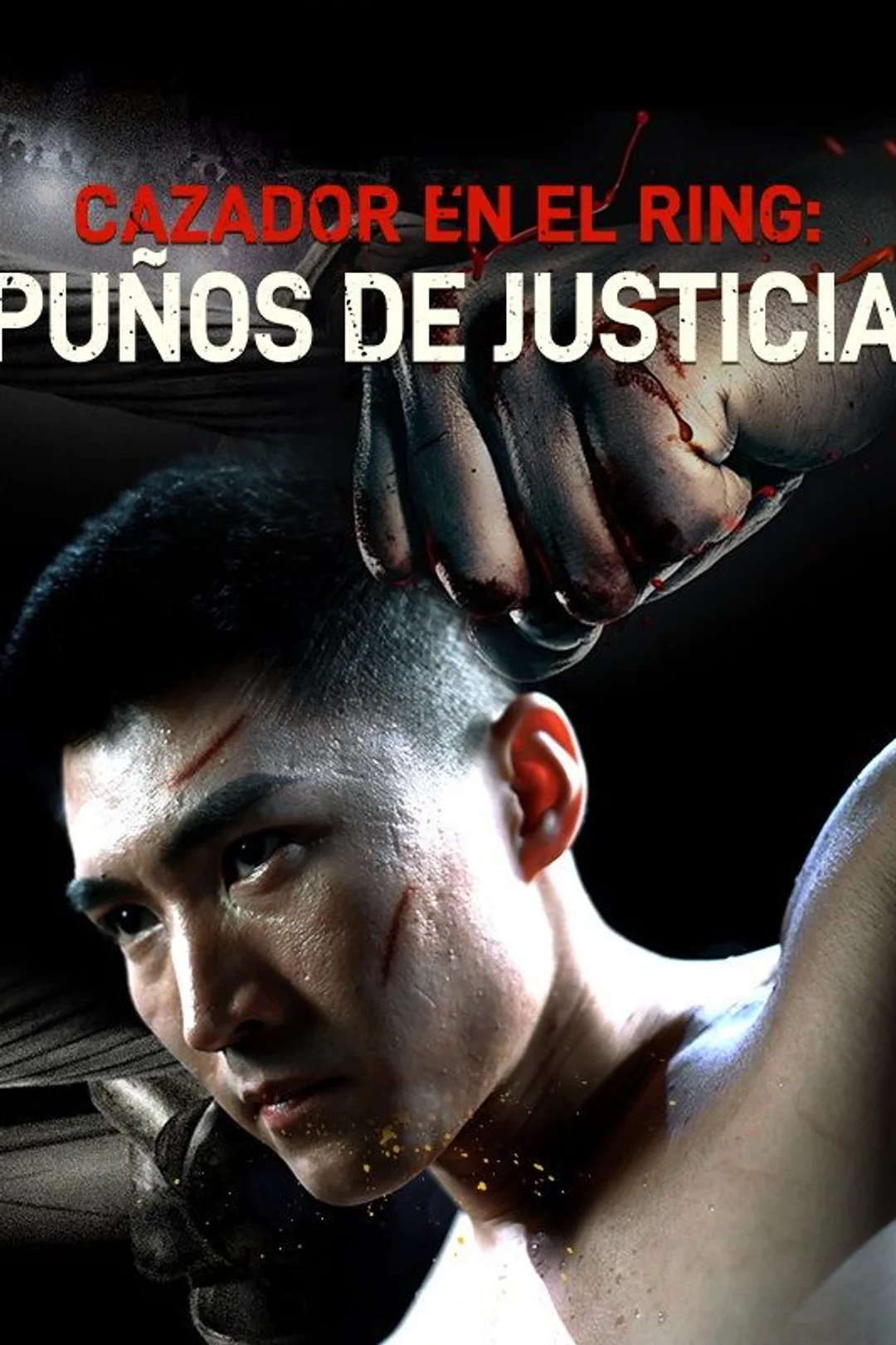 Póster de Cazador en el ring: Puños de justicia