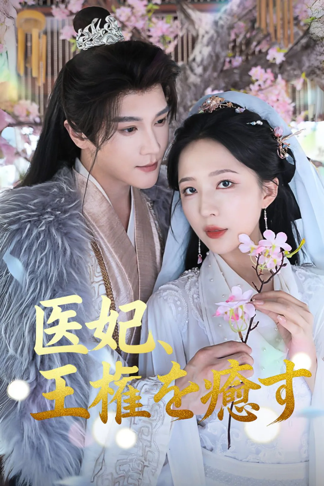 医妃、王権を癒すのポスター