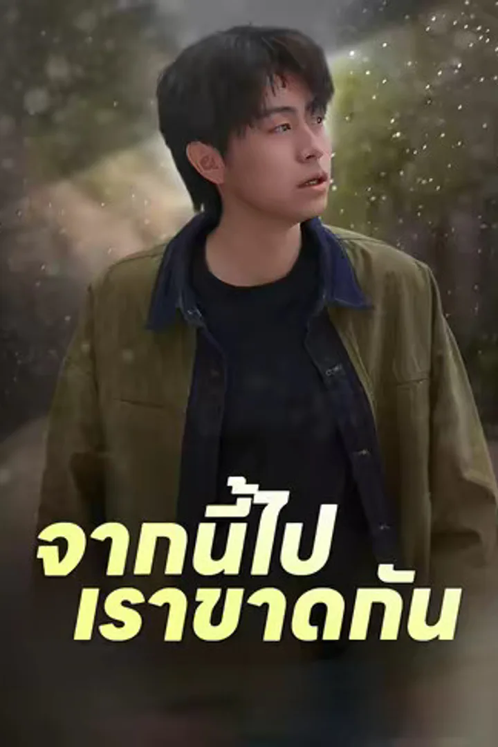 โปสเตอร์ จากนี้ไปเราขาดกัน