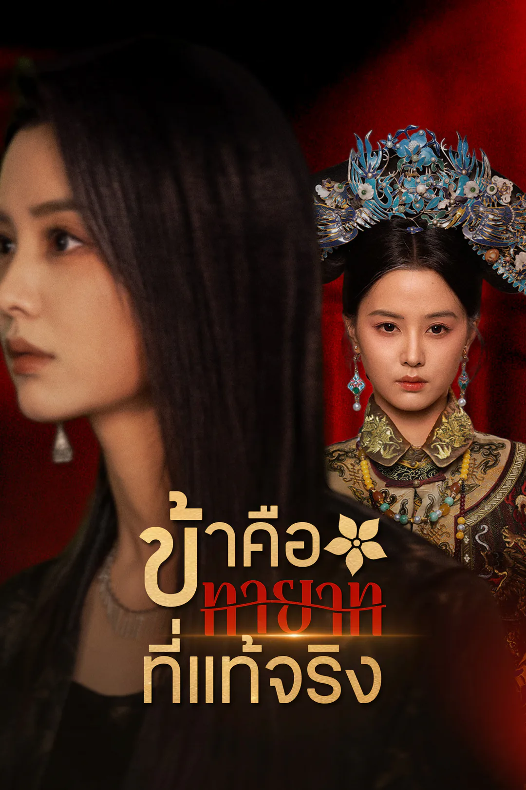 โปสเตอร์ ข้าคือทายาทที่แท้จริง