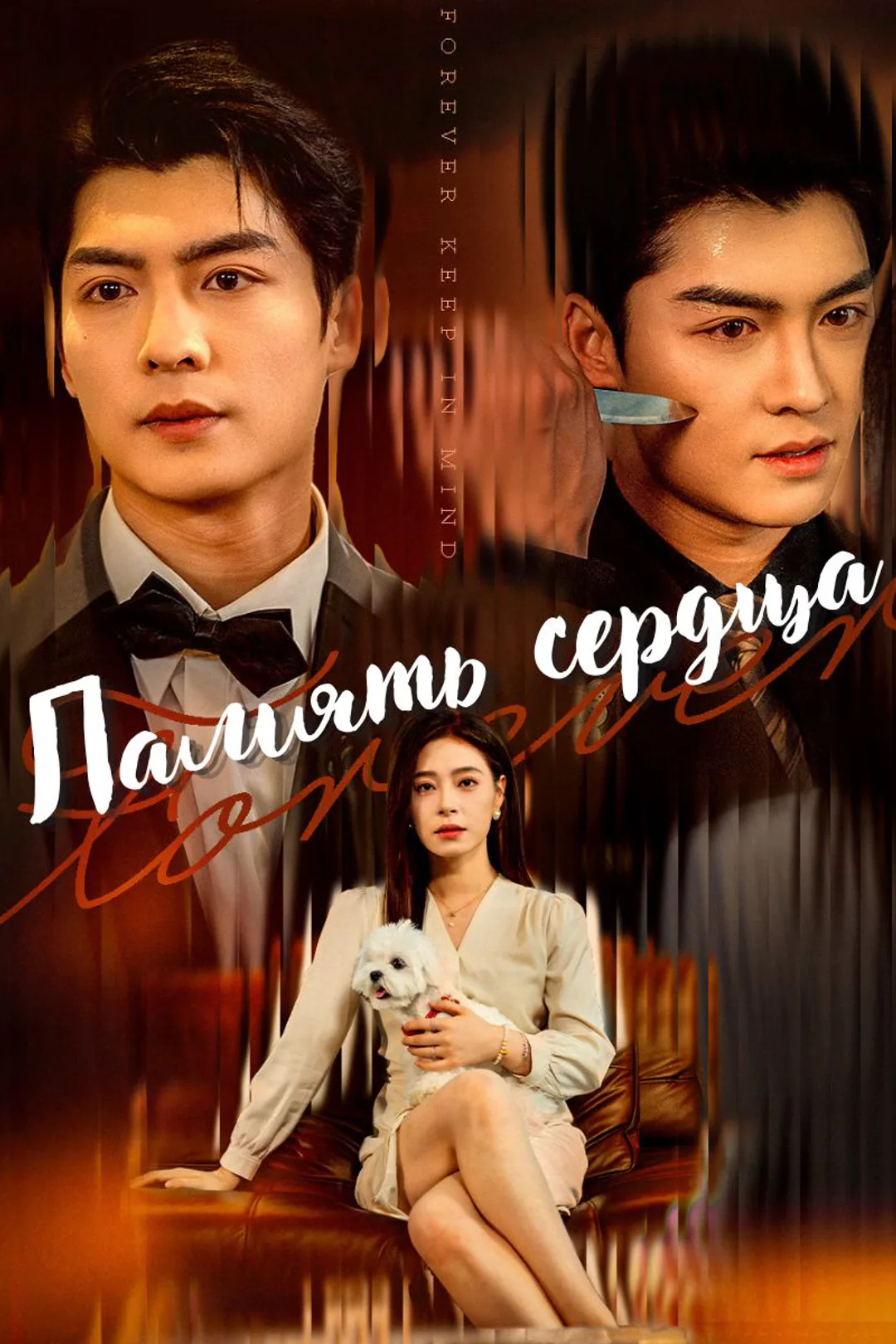 Постер сериала «Память сердца»