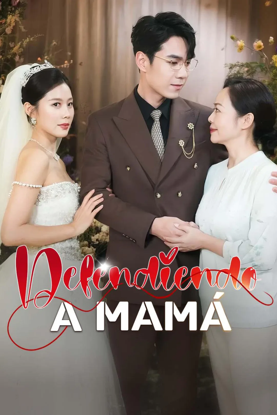 Póster de Defendiendo a Mamá