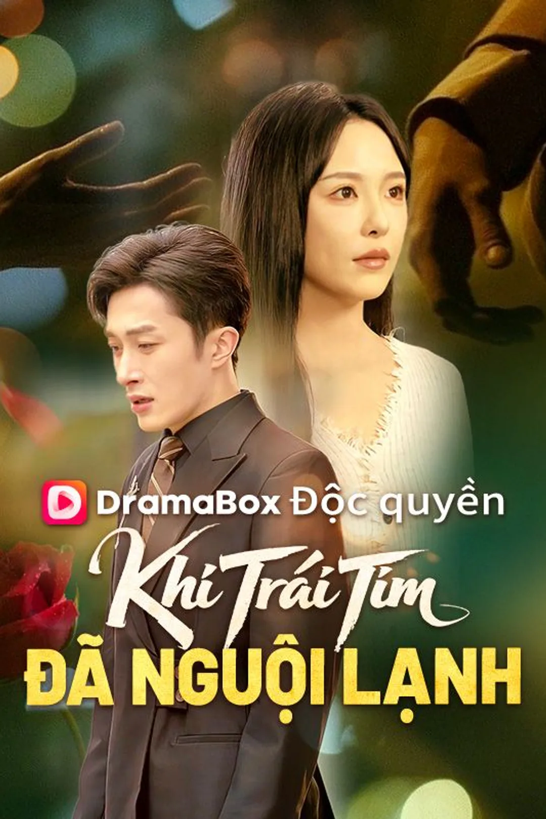 Poster phim Khi Trái Tim Đã Nguội Lạnh