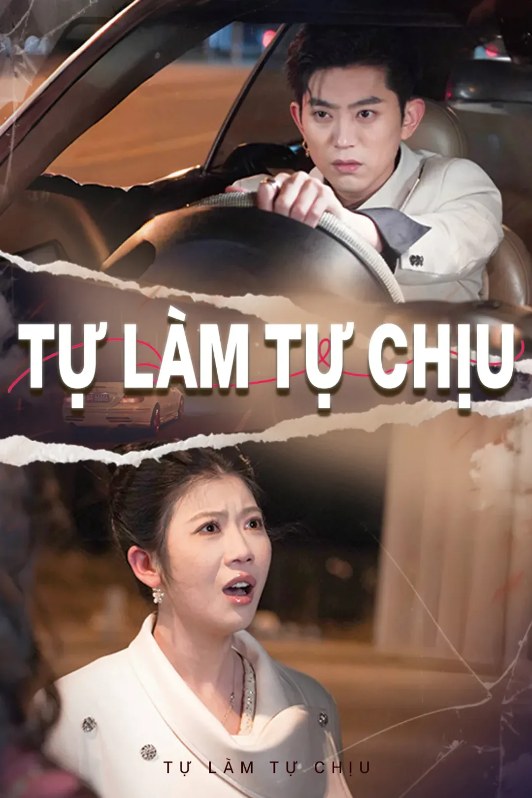 Poster phim Tự làm tự chịu