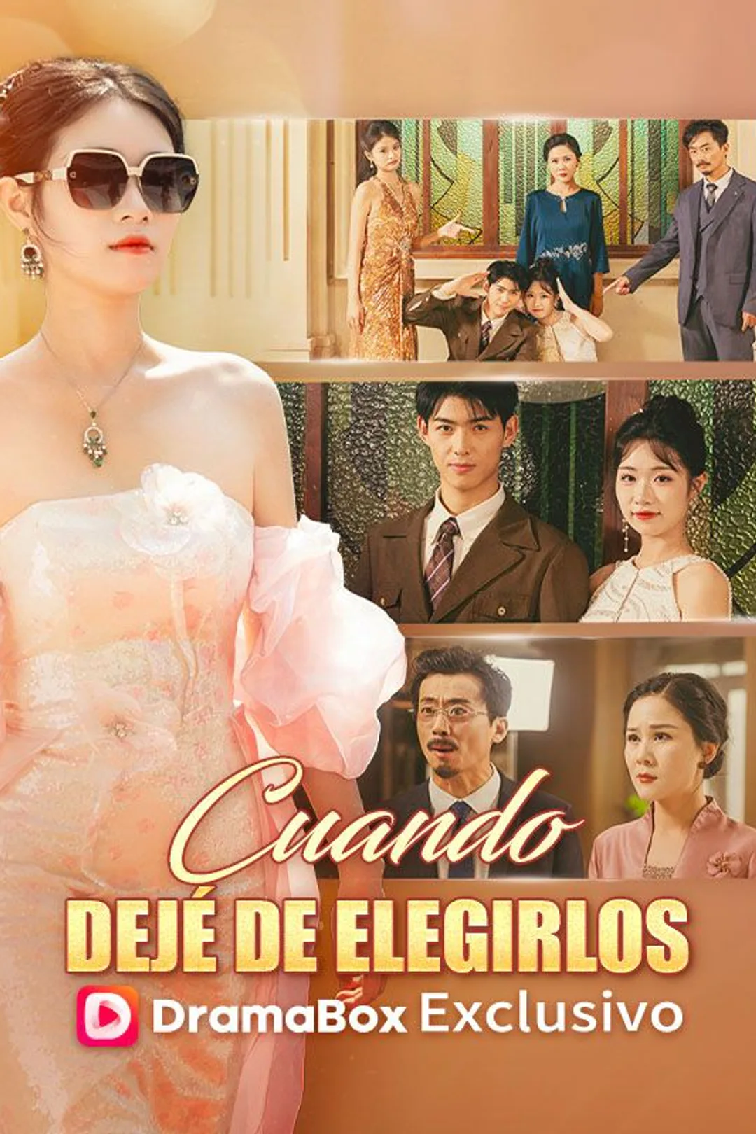 Póster de Cuando dejé de elegirlos