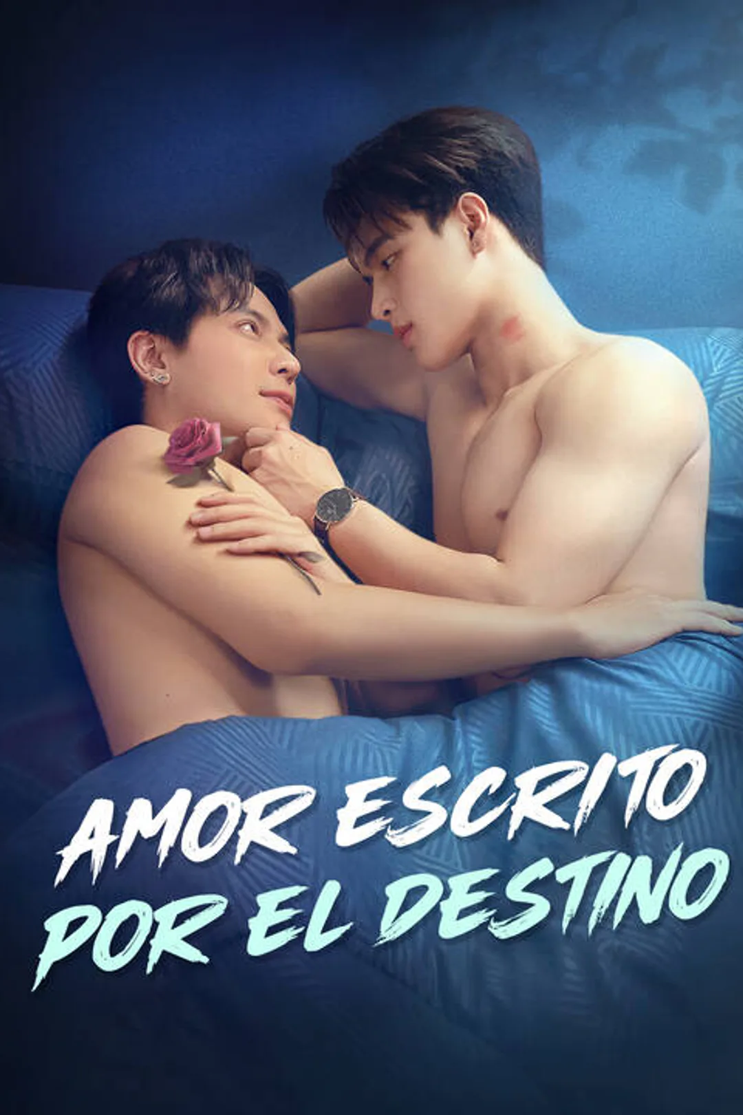 Póster de Amor Escrito por el Destino