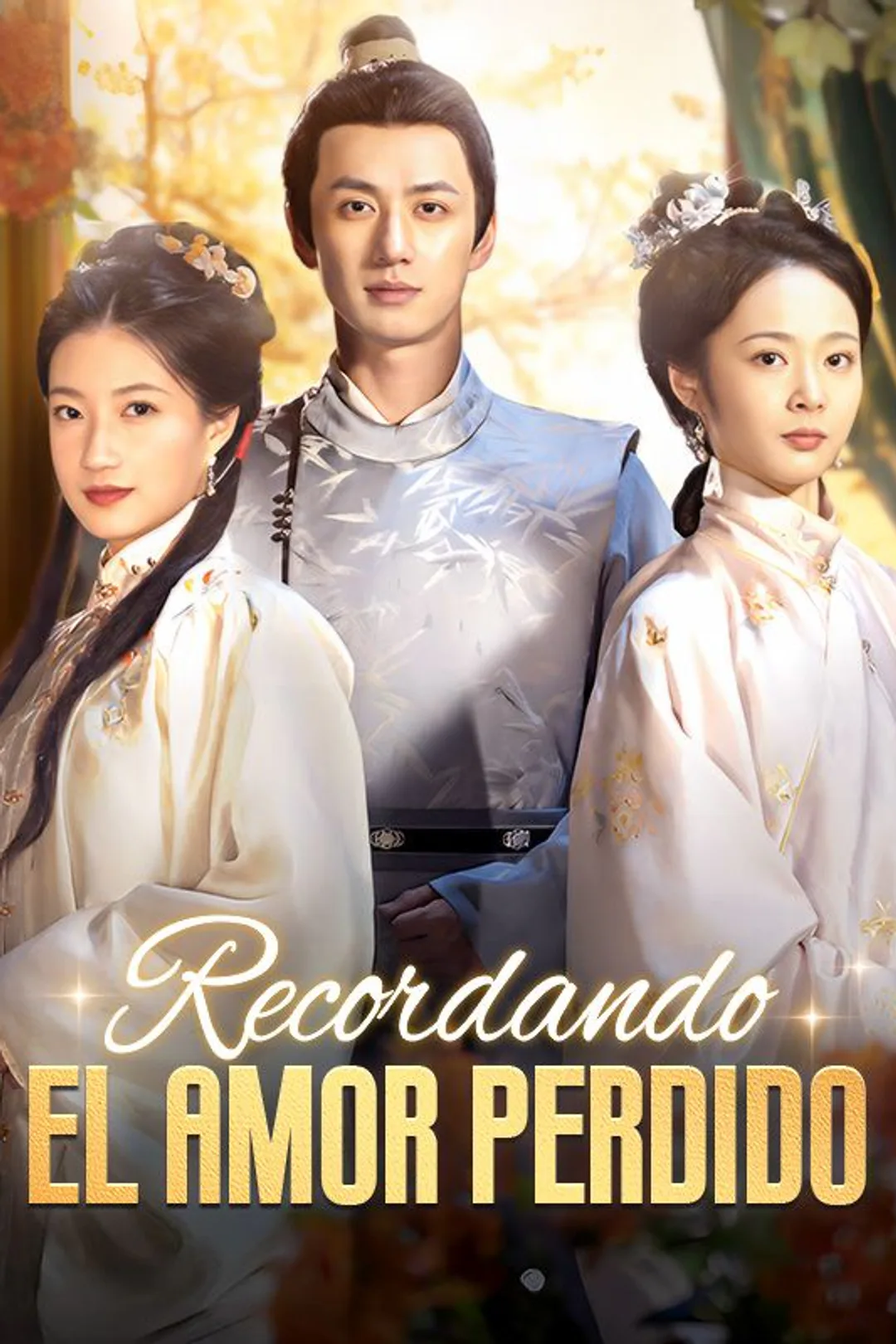 Póster de Recordando el Amor Perdido