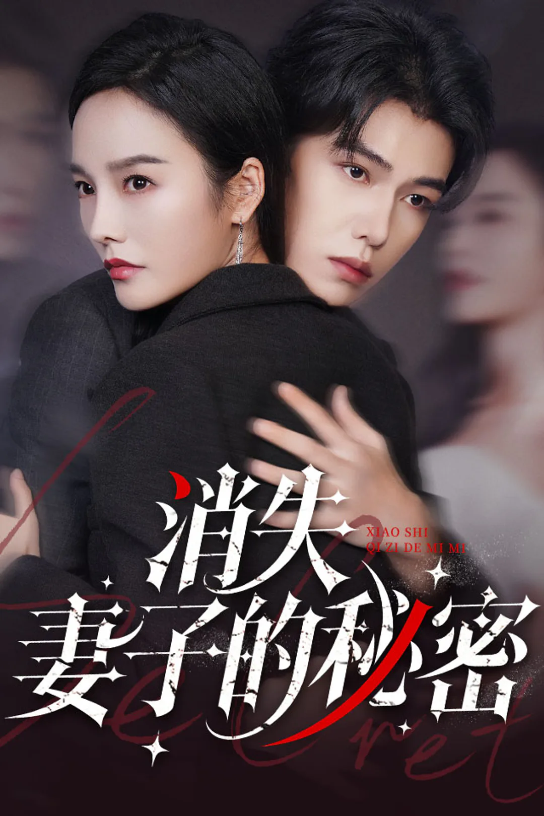 《消失妻子的秘密》海报