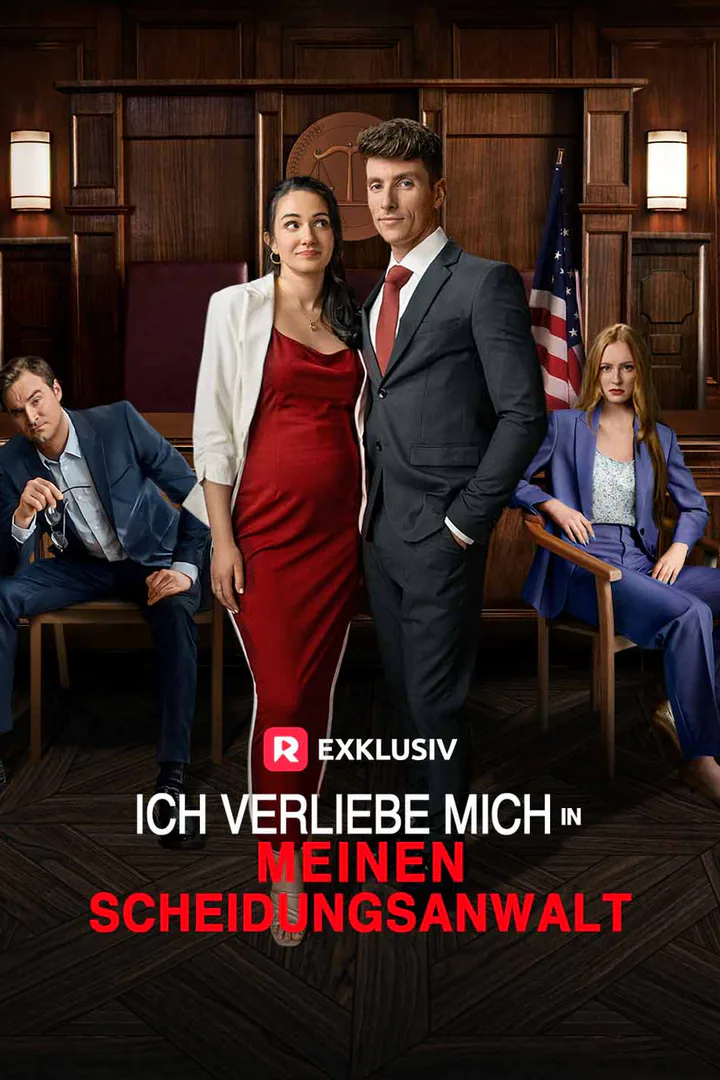 Poster von verliebe in mich meinen Scheidungsanwalt